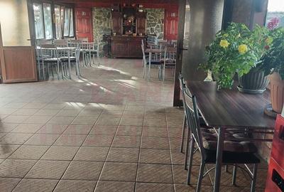 RESTAURANT DE VÂNZARE-COM. OBREJA\SAT IAZ\CARAȘ SEVERIN - 19