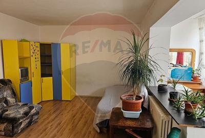 Garsoniera -Versatilitate Excelenta pe Calea Bucuresti, Brasov - 2