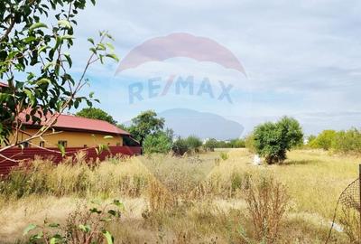 Vanzare Teren 9,032mp Balotesti / Strada I. C. Bratianu - 3