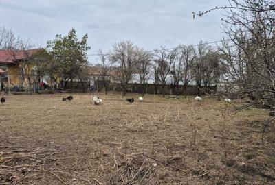 Casă cu 3 camere în Giubega - 4