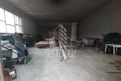 Casa individuala + garaj si anexa, oportunitate investitie, Sagului! - 21