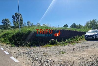 Teren de 1206 mp, în Ciugud - 5