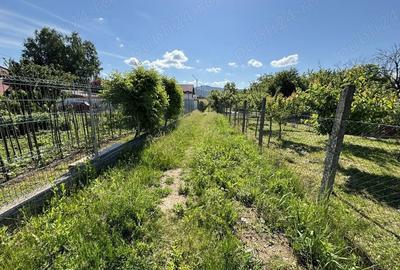 Teren de 2170 mp, în Olteni - 2