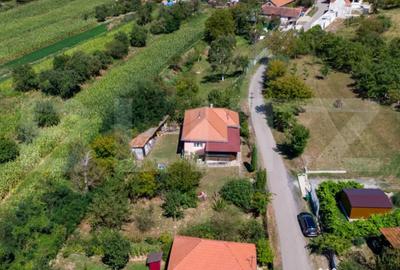 Casă cu 3 camere cu Teren 4000 Mp în Rovina (Brănișca) - 13