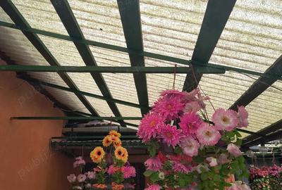 Casa de vanzare Nadrag - 2