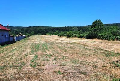 TEREN INTRAVILAN ȘI EXTRAVILAN TURCINEȘTI - 12