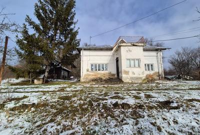 Casă individuală cu 5 camere cu Teren 5950 Mp în Central - 8