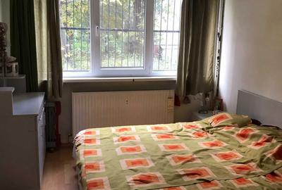 2Camere Pajura Baiculesti - 10