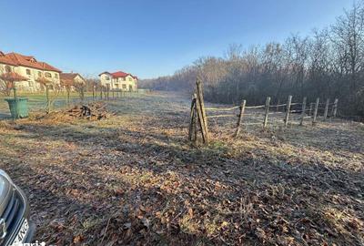 Teren de 3676 mp, în Păulești - 4