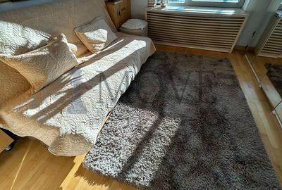 Apartament cochet cu 4 camere Asmita Gardens  -vedere catre Delta Vacaresti - 35