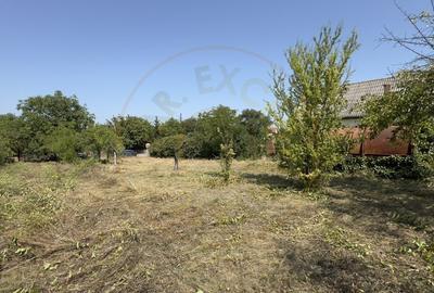 De vanzare Teren extravilan 2000 mp Carei - Gradina Viilor, Valea Tireamului - 5