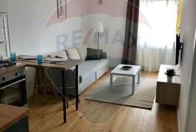 Apartament/Studio de inchiriat Aviatiatiei Park - 4