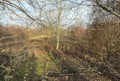 Teren de 6500 mp, în Zarand - 3