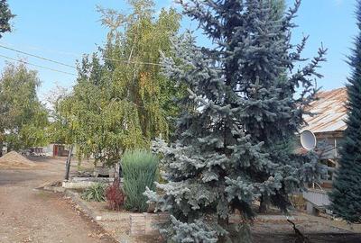 Casă cu Teren 10500 Mp în Vârteșcoiu - 10