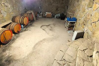 Casă cu 4 camere în Mihail Kogălniceanu - 3