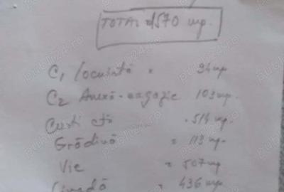 Vand casa in cartierul Neicu-Panciu - 9