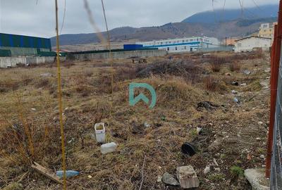 Vanzare teren intravilan, Codlea, Brasov - 8