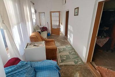 Casă cu Teren 1400 Mp în Dumitrești - 6