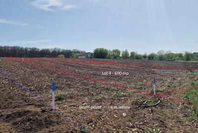 Snagov, Vladiceasca, Intravilan, zona de vile noi, canalizare, electricitate - 11