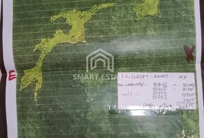 Arges - Teren 25 ha cu Izvor Sulfuros in Balilesti - Comision 0% - 1