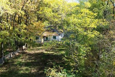 Teren de 7000 mp, în Vărbila - 1