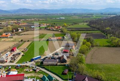 Spațiu comercial, în Lunca Calnicului - 17