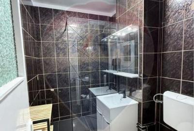 Apartament 2 camere-Inchiriere- zona Pia?a Vasile Aron, ... - 11