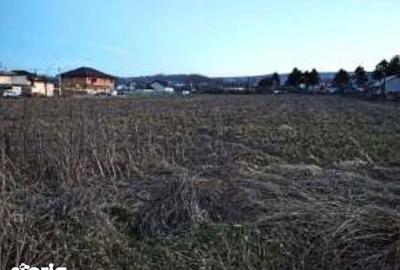 Teren de 1000 mp, în Tomești - 3