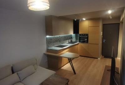 Apartament cu 2 camere semidecomandat, mobilat în Lacul Tei - 2