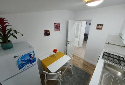Apartament cu 2 camere semidecomandat, mobilat în Parcul Carol - 7