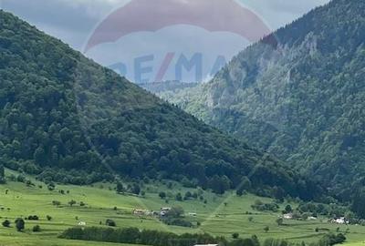 Teren 4,145mp Predelut / Strada Magurii - 2