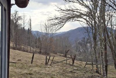 Casă cu 3 camere în Vale - 2