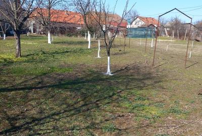 Casă cu 3 camere în Zimandu Nou - 8