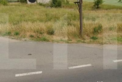 Teren de 5600 mp, în Chilieni