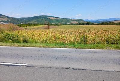 Teren extravilan 8.053 mp (cu iesire la Raul Mures) in Satul Mintia din Comuna Vetel, Jud. Hunedoara - 1