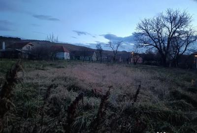 Casă cu 2 camere în Petreni - 9