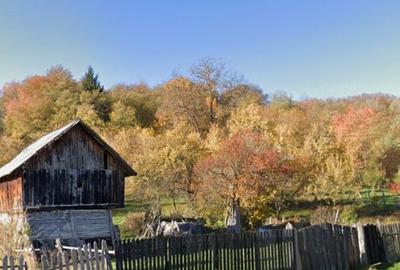 Spațiu comercial, în Godeni - 3