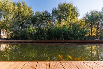 Casă individuală cu 12 camere cu Canalizare în Dumbrăvița - 42