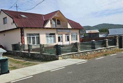 Anun? Vanzare Cladire P+1 Zona Lunca Vanatorilor, Neam? - 2