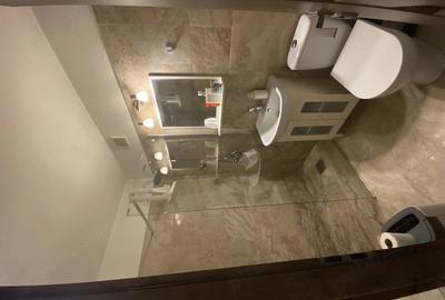 Garsonieră semidecomandată în Zorilor - 8