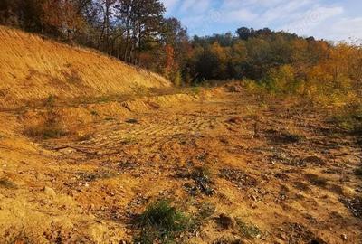 Teren de 1500 mp, în Calea Caransebeșului - 3
