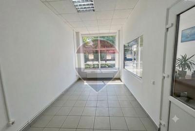 Spațiu comercial, de 38 mp, în Gușterița