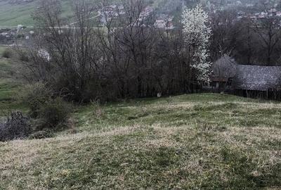 Teren de 2600 mp, în Izvoarele - 3