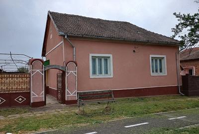 Casă cu 4 camere cu Teren 1300 Mp în Șicula - 9