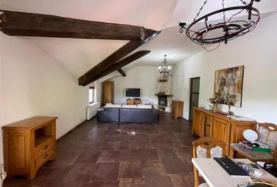 Vila deosebita, 2 corpuri P+M si P+1E, Margineni-Bacau - 22