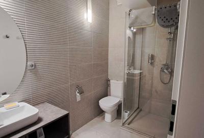 Garsonieră decomandată în Făget - 8