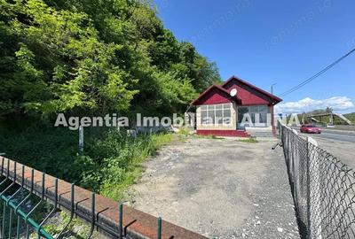 Spatiu comercial spre iesire din Loc. Deva (spre Mintia) zona Izvorul Decebal, Jud. Hunedoara. - 1