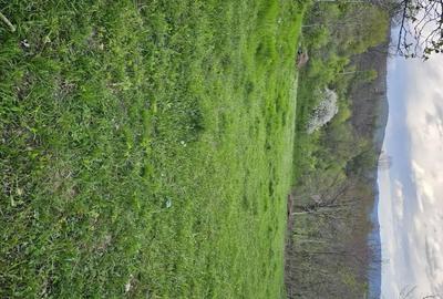 Teren de 949 mp, în Sălătrucel - 6