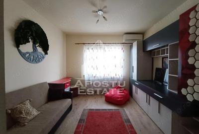 Casă cu 9 camere cu Canalizare în Elisabetin - 7