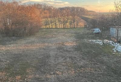 Casa de vinzare Radovan - 3